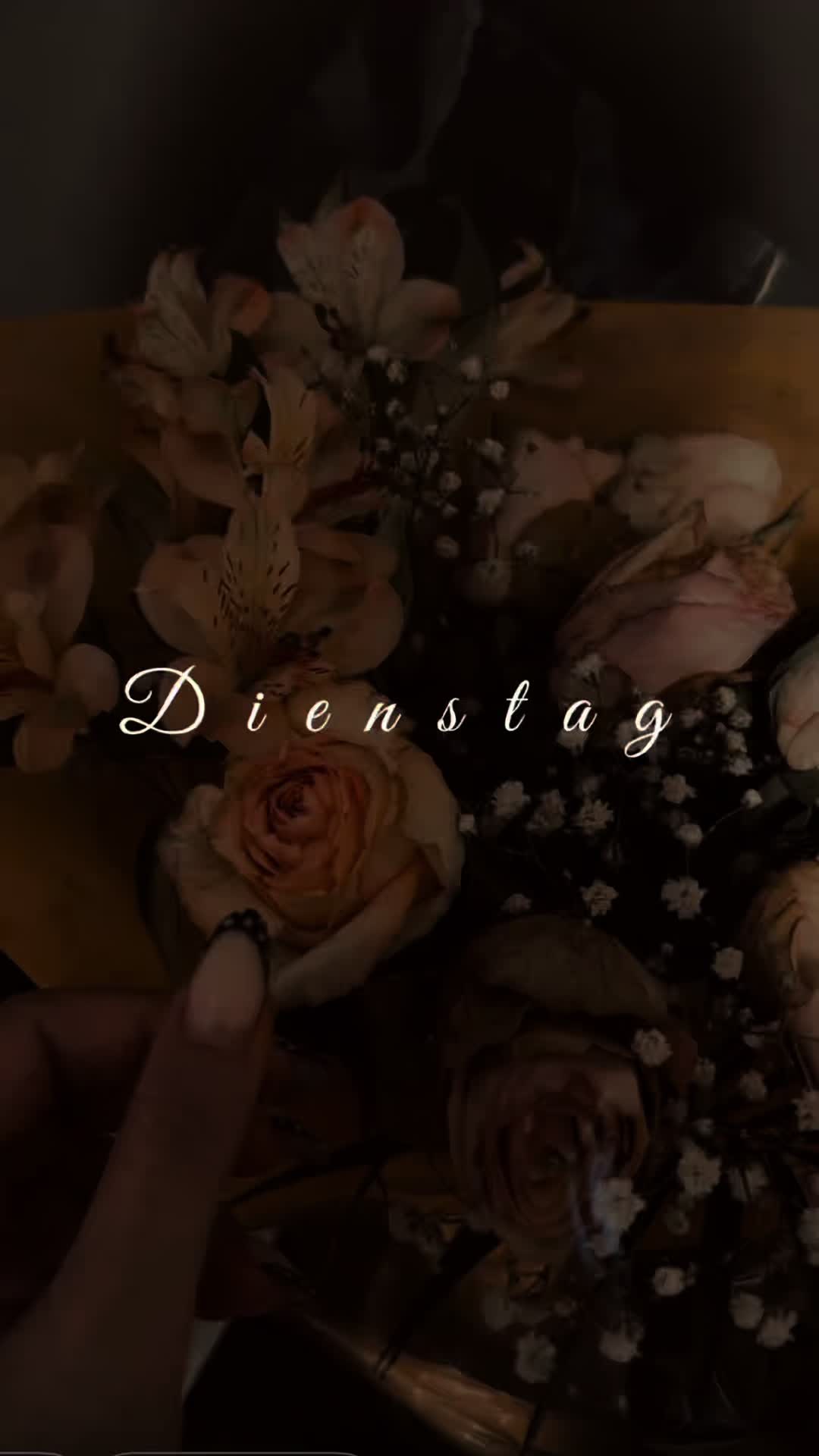 @𝐴𝑛𝑛𝑎 ♡︎