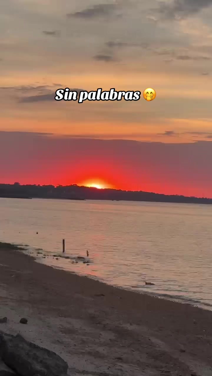@soloseviveunavez9102