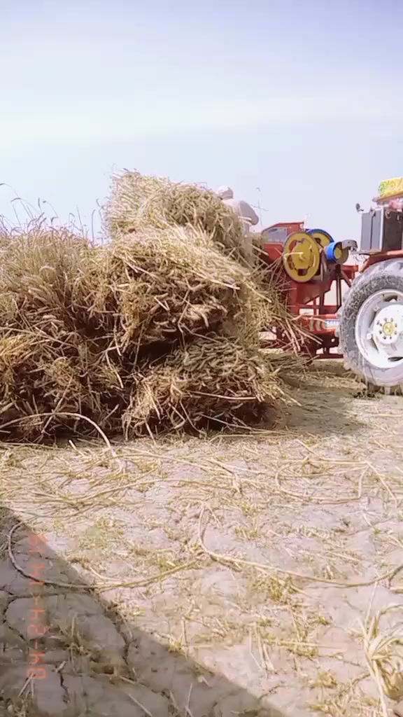 @mehrazeem61