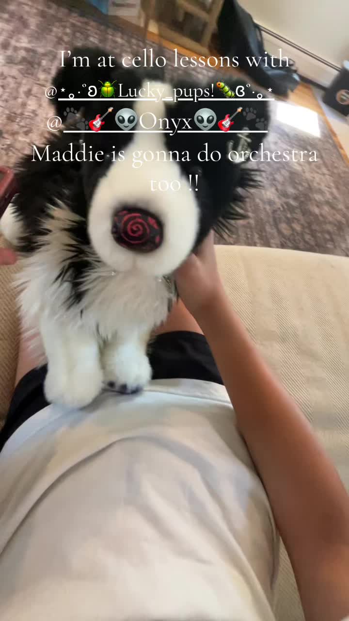 @‼️ 🐕🦺𝓸𝓹𝓪𝓵+𝓱𝓸𝓹𝓮✩🎧🎸