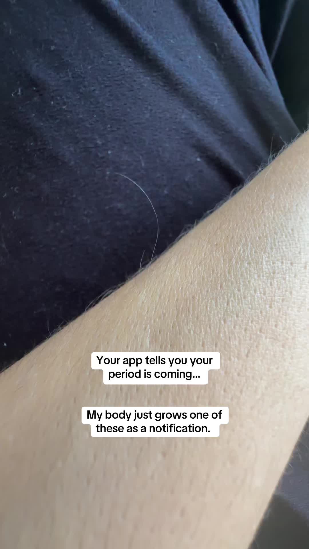 @Vanessa Matos