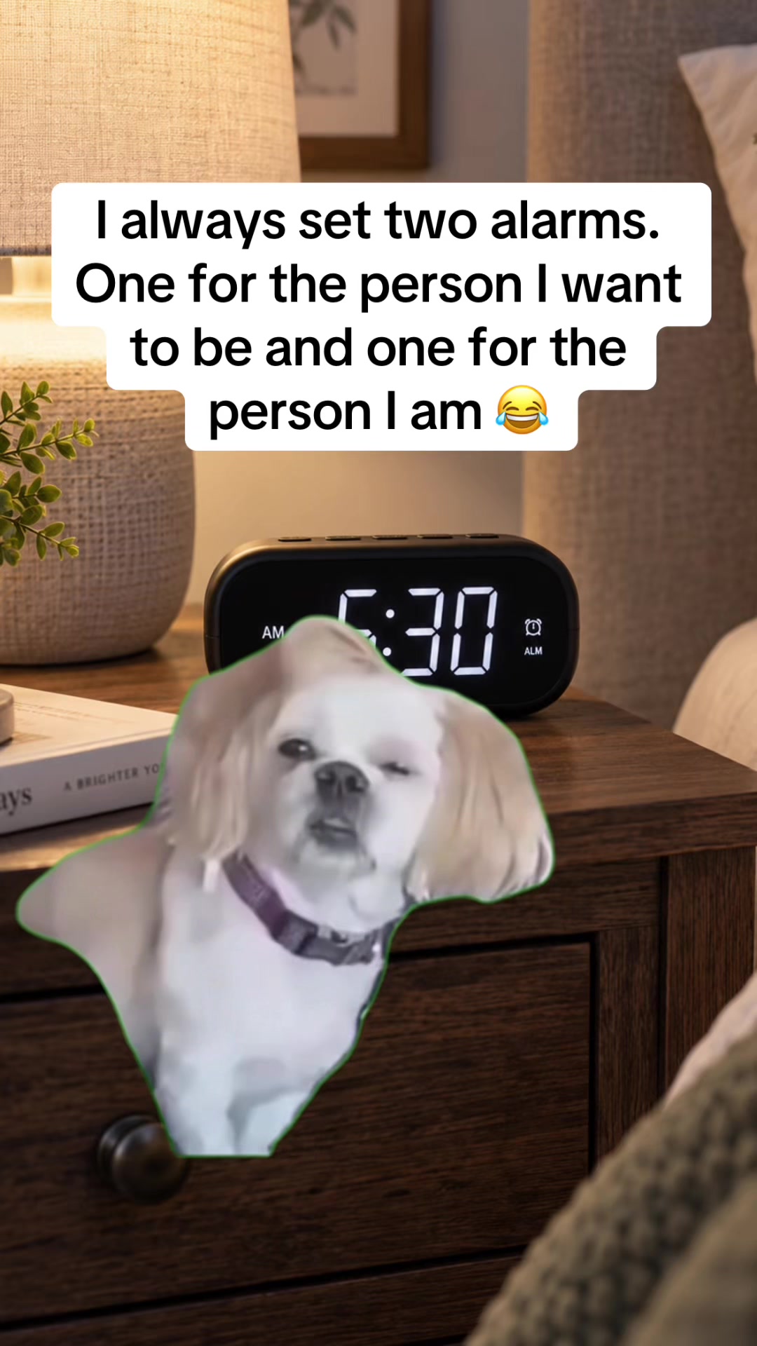 @stephmademelaugh