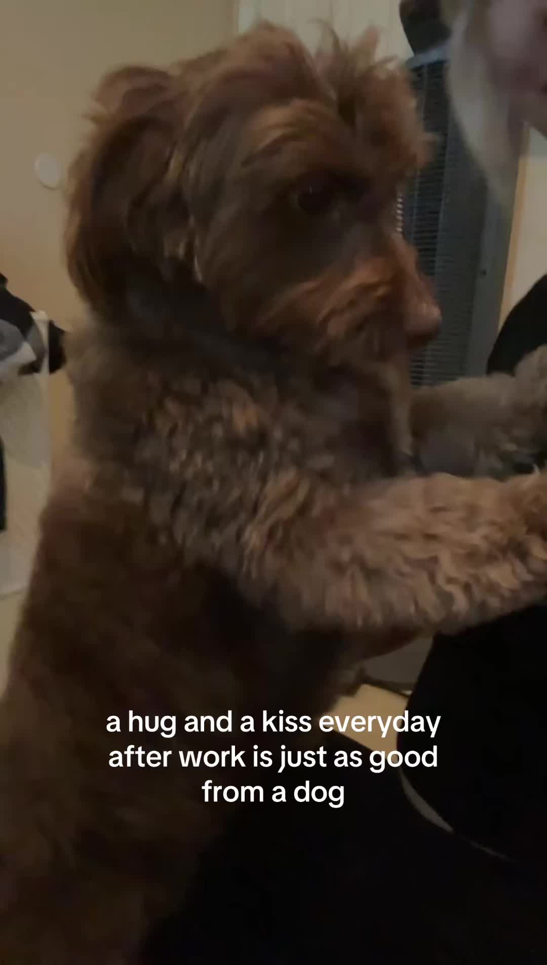 @Mel