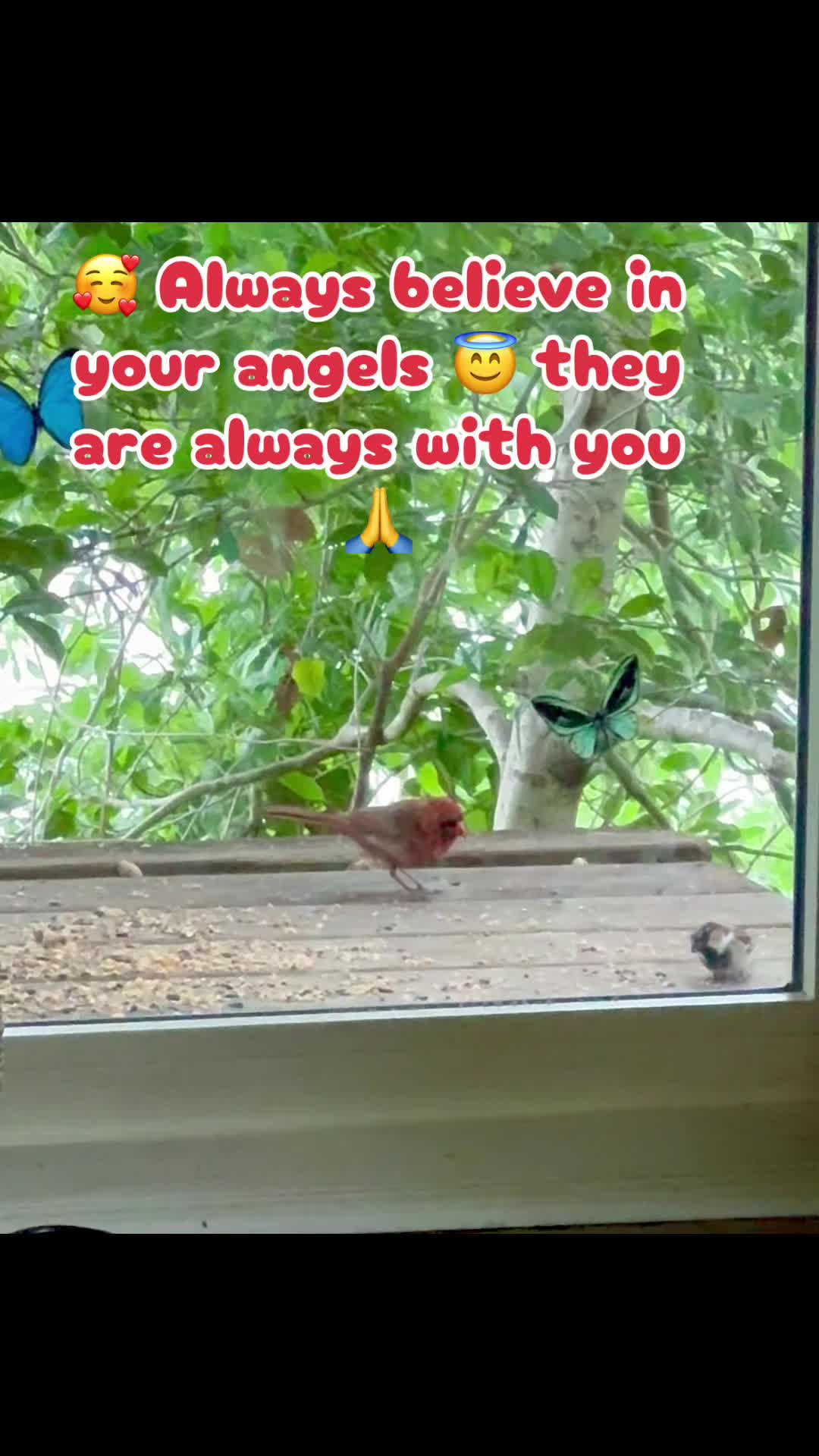 @E🌹