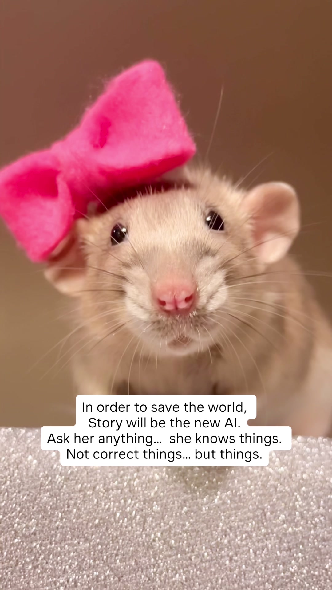 @RatsHaveFeelingsToo