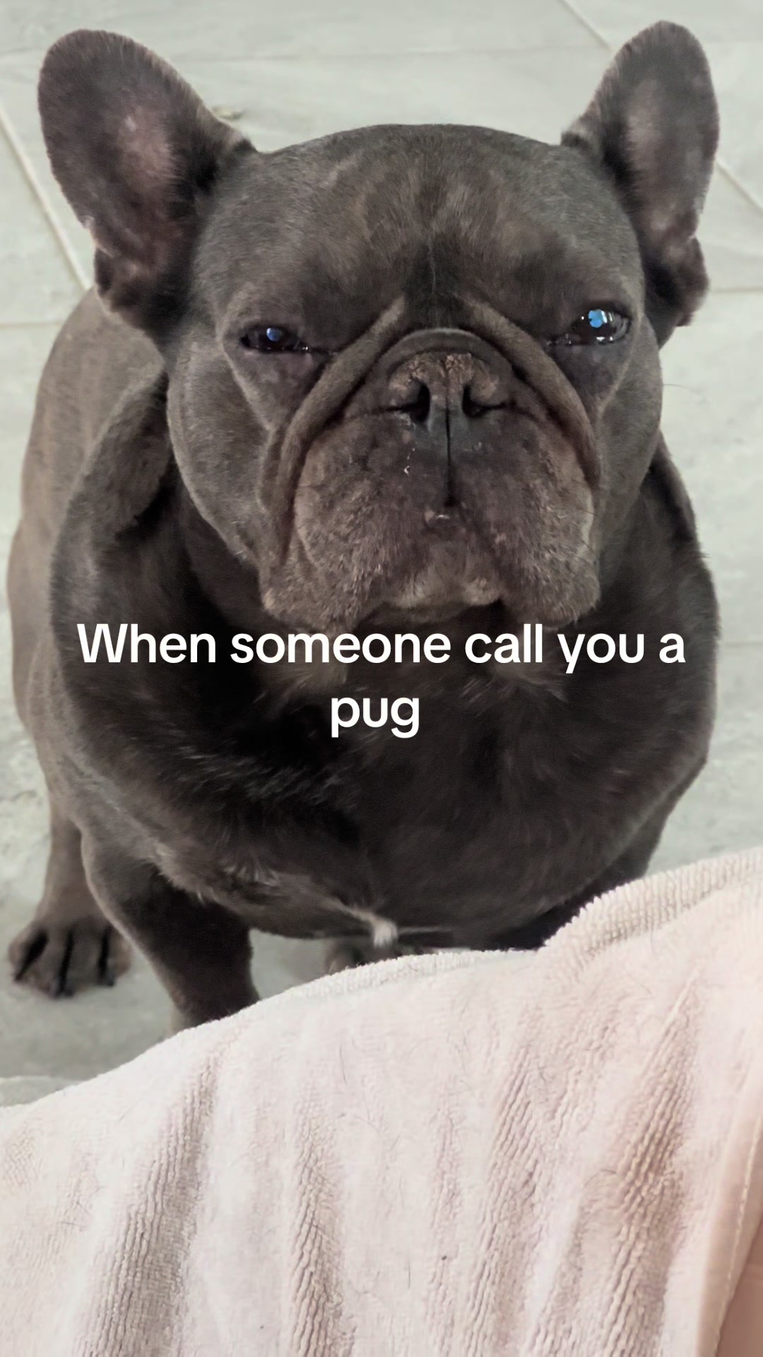 @Coco’s Paws
