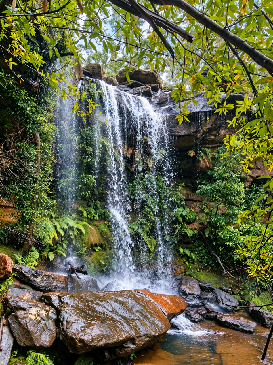 @Nature Love Australia 🌴