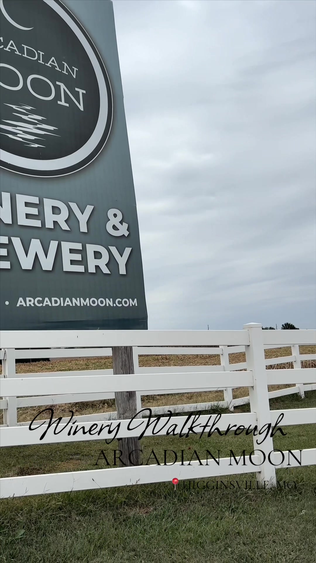 @Missouri Wines