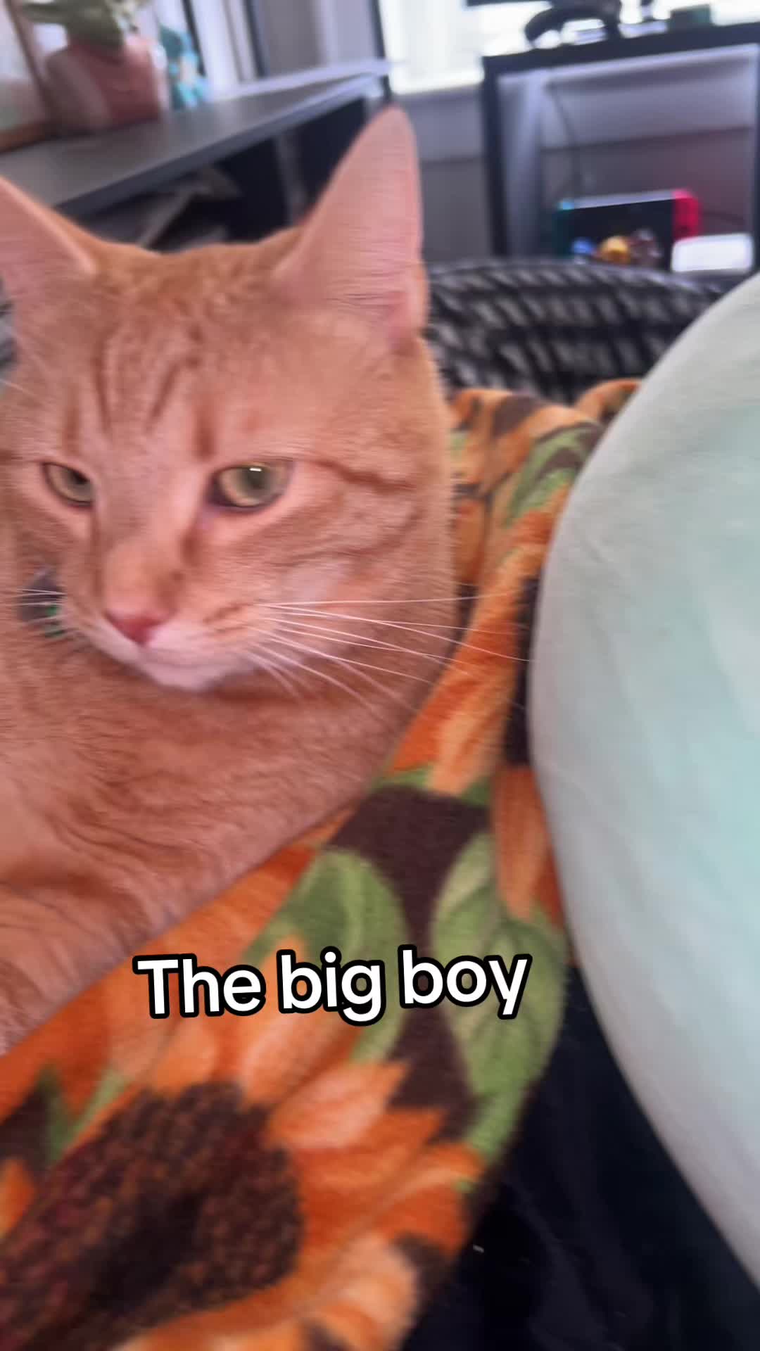 @Kinggrant66