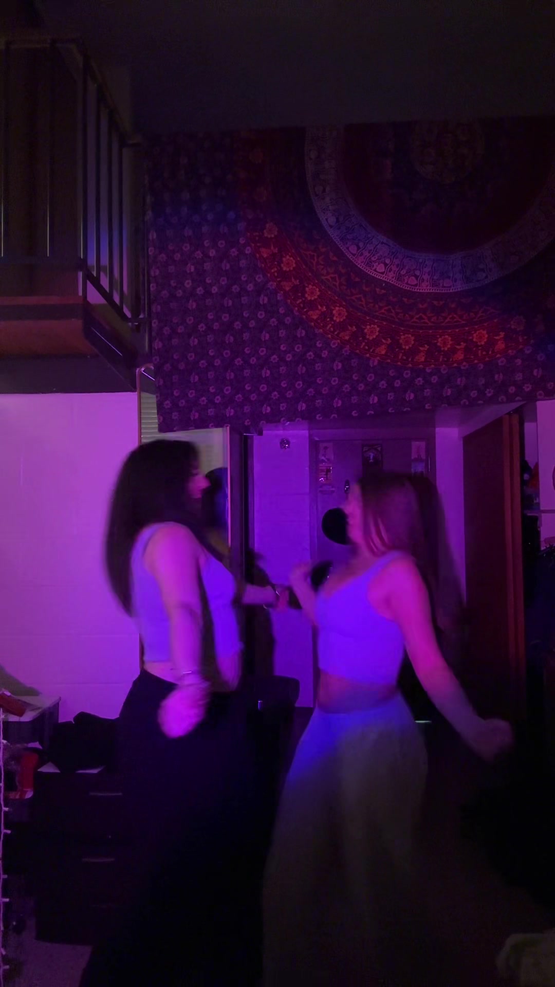 @lily._.hirsch