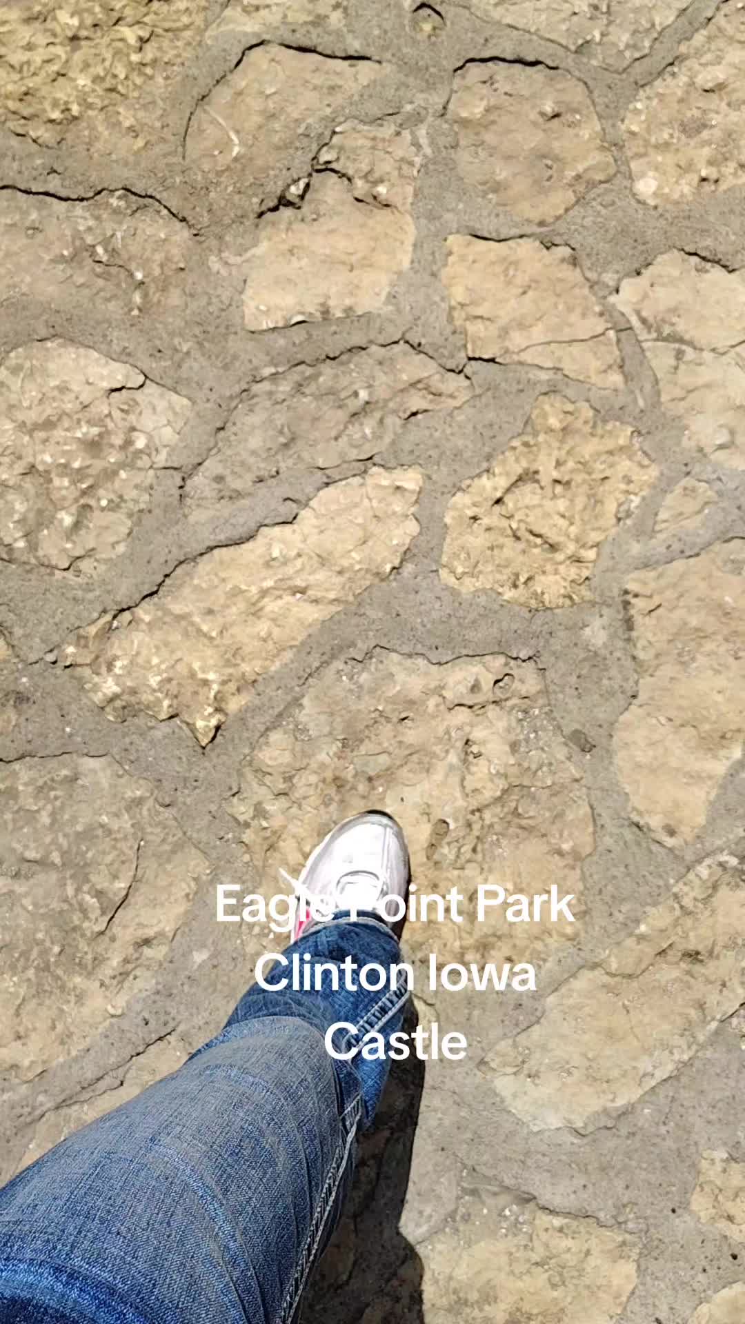 @user4309633098699