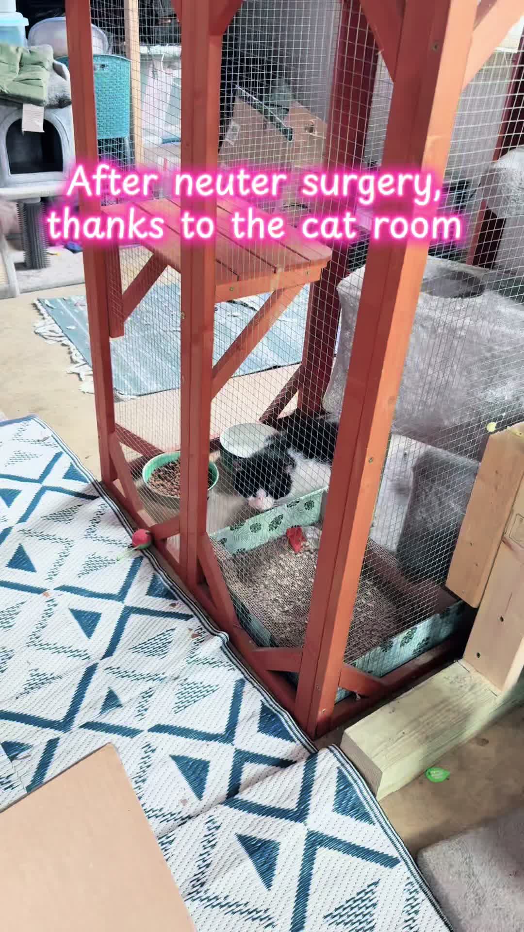 @ruthnewby