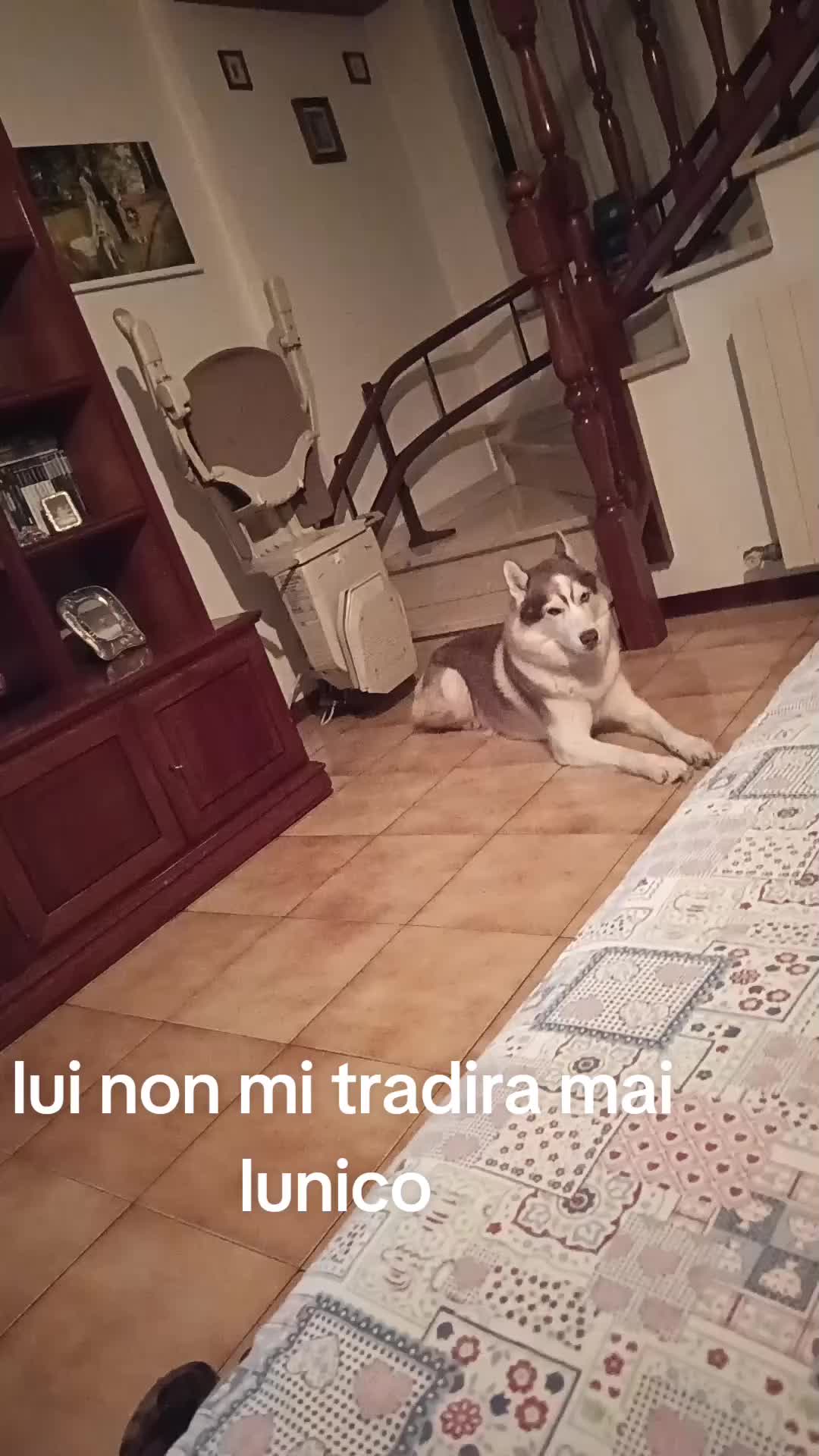 @Concy