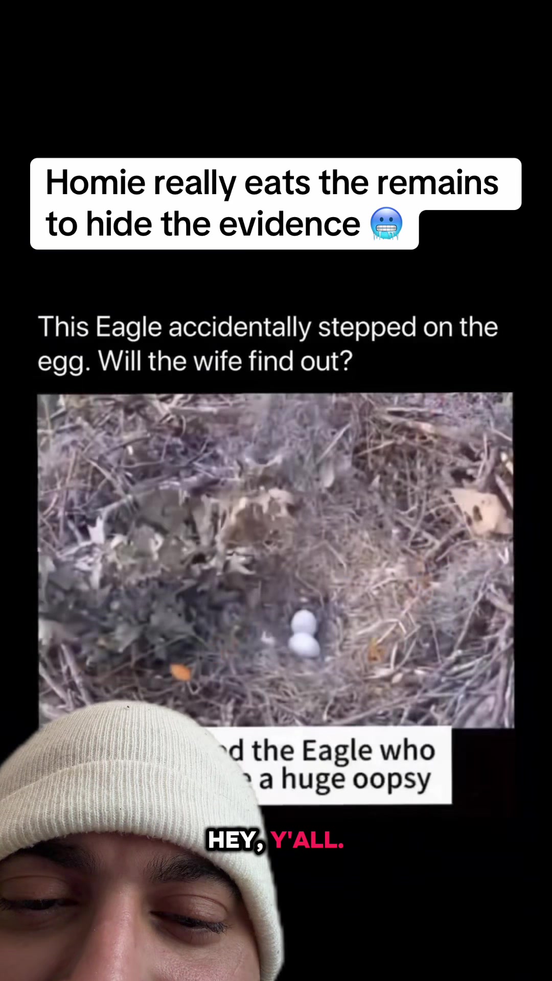 @mickystickey