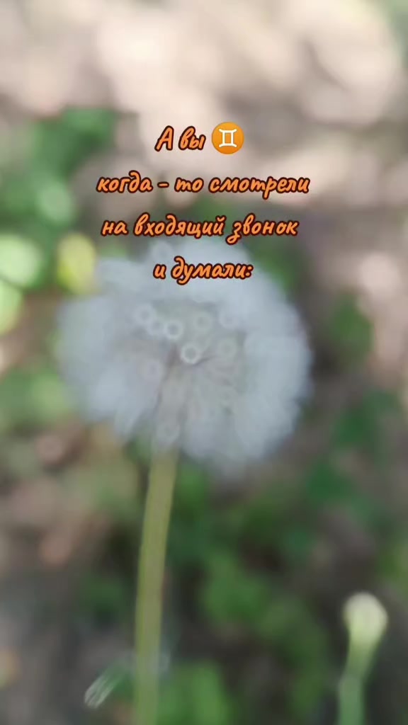 @ϯสᥣส♊