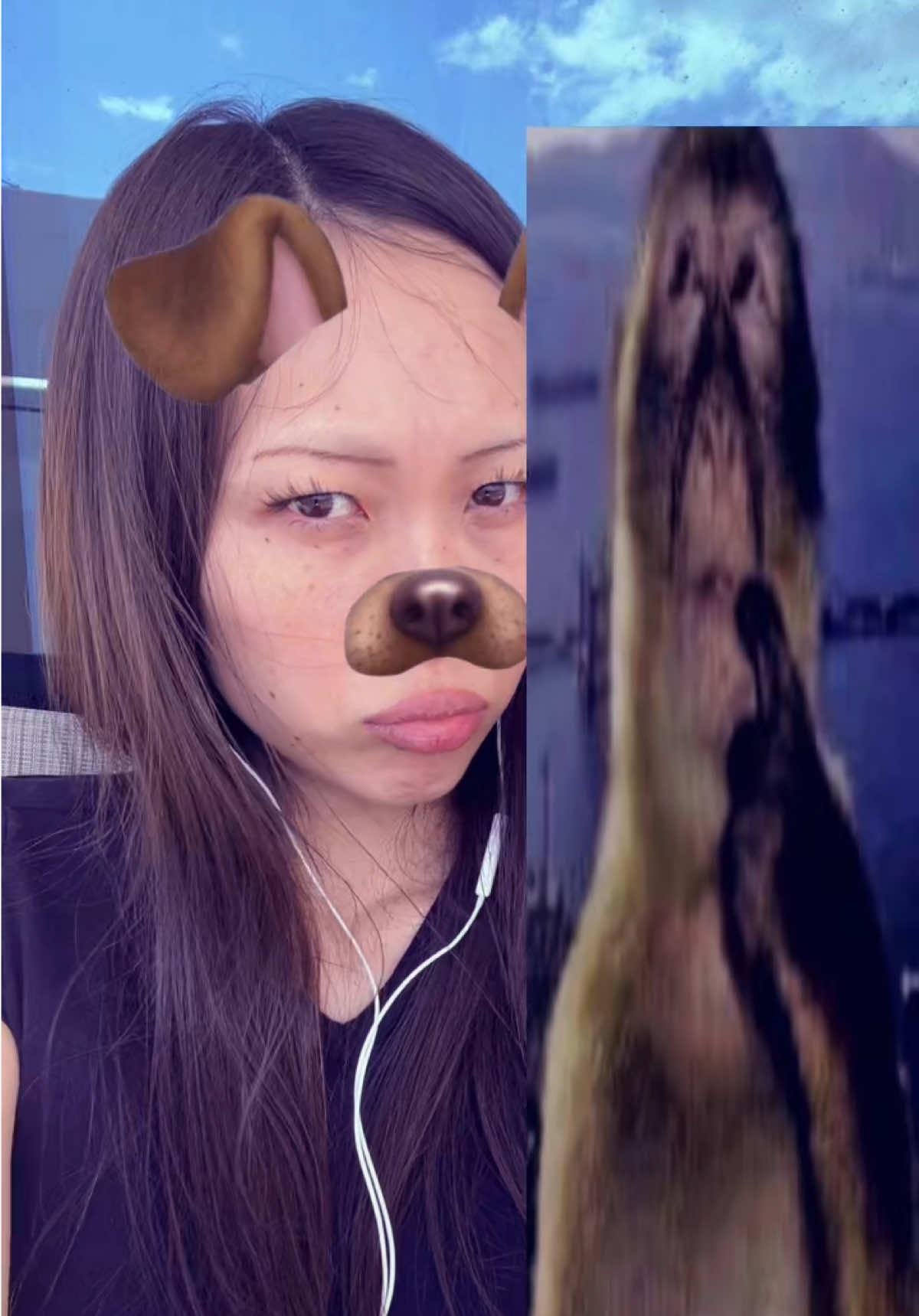 @kitty