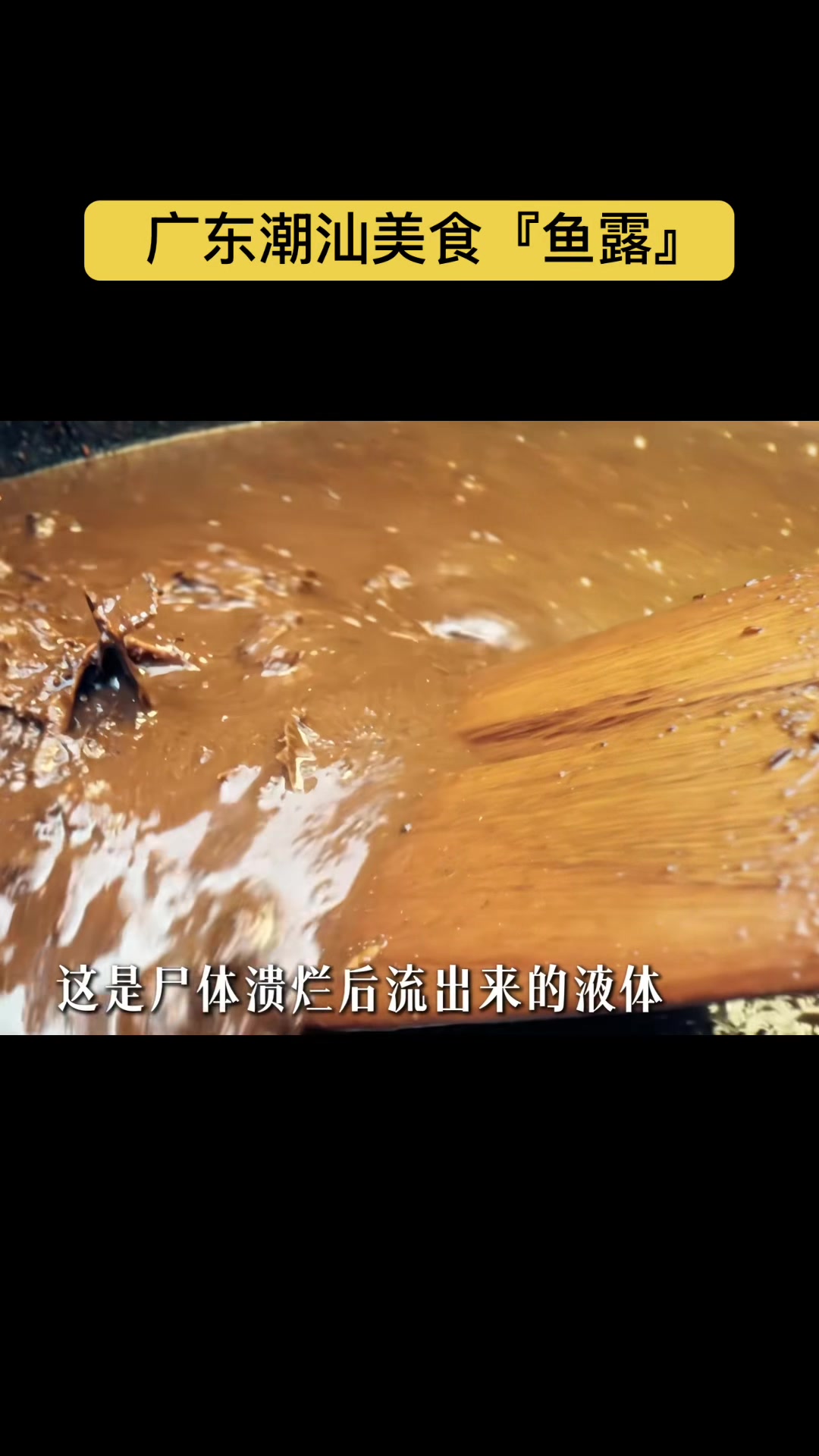 @gonghonglei