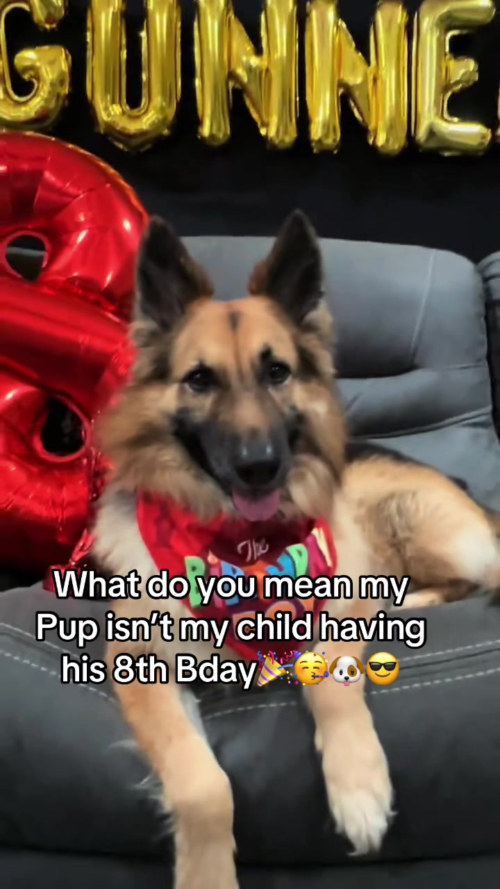 @Gunner GSD🐶