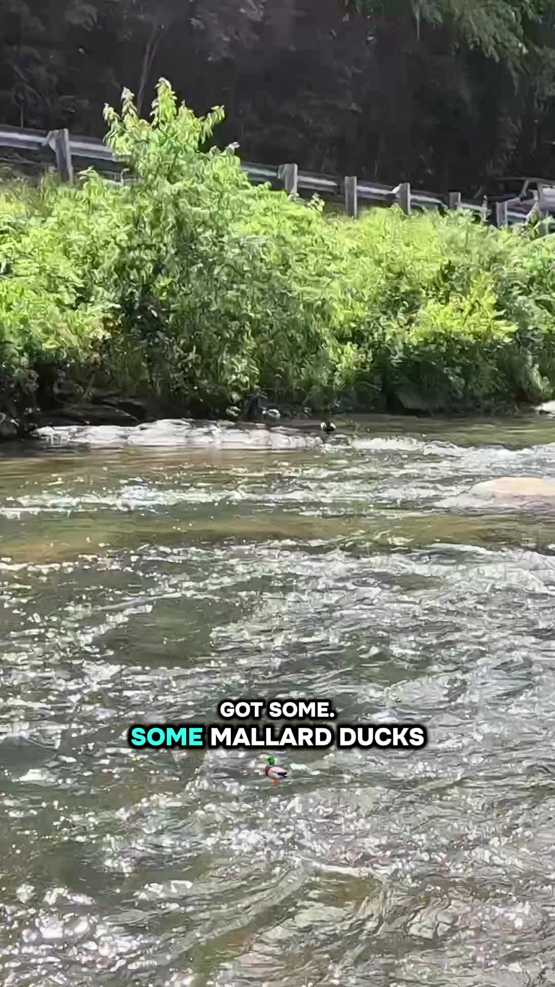 @Creek Seeker Outdoors