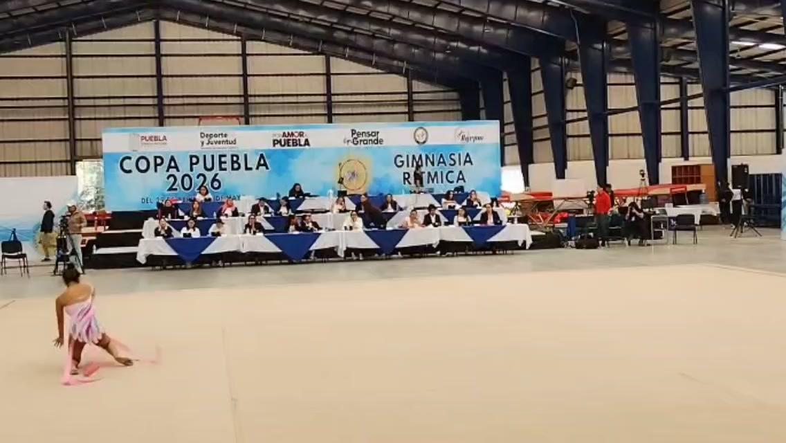@Quetzal - Academia Profesional