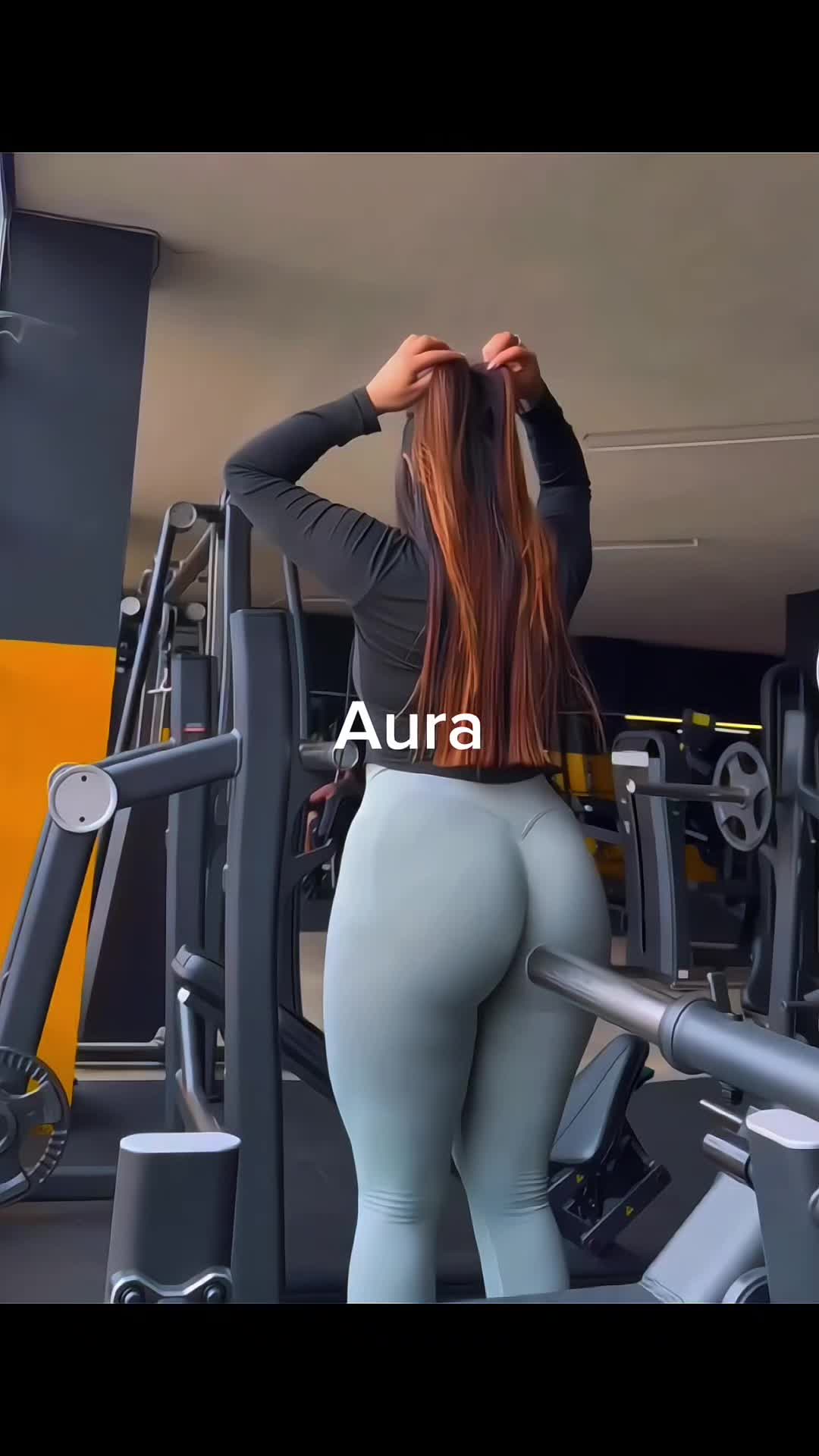 @Shark Gym