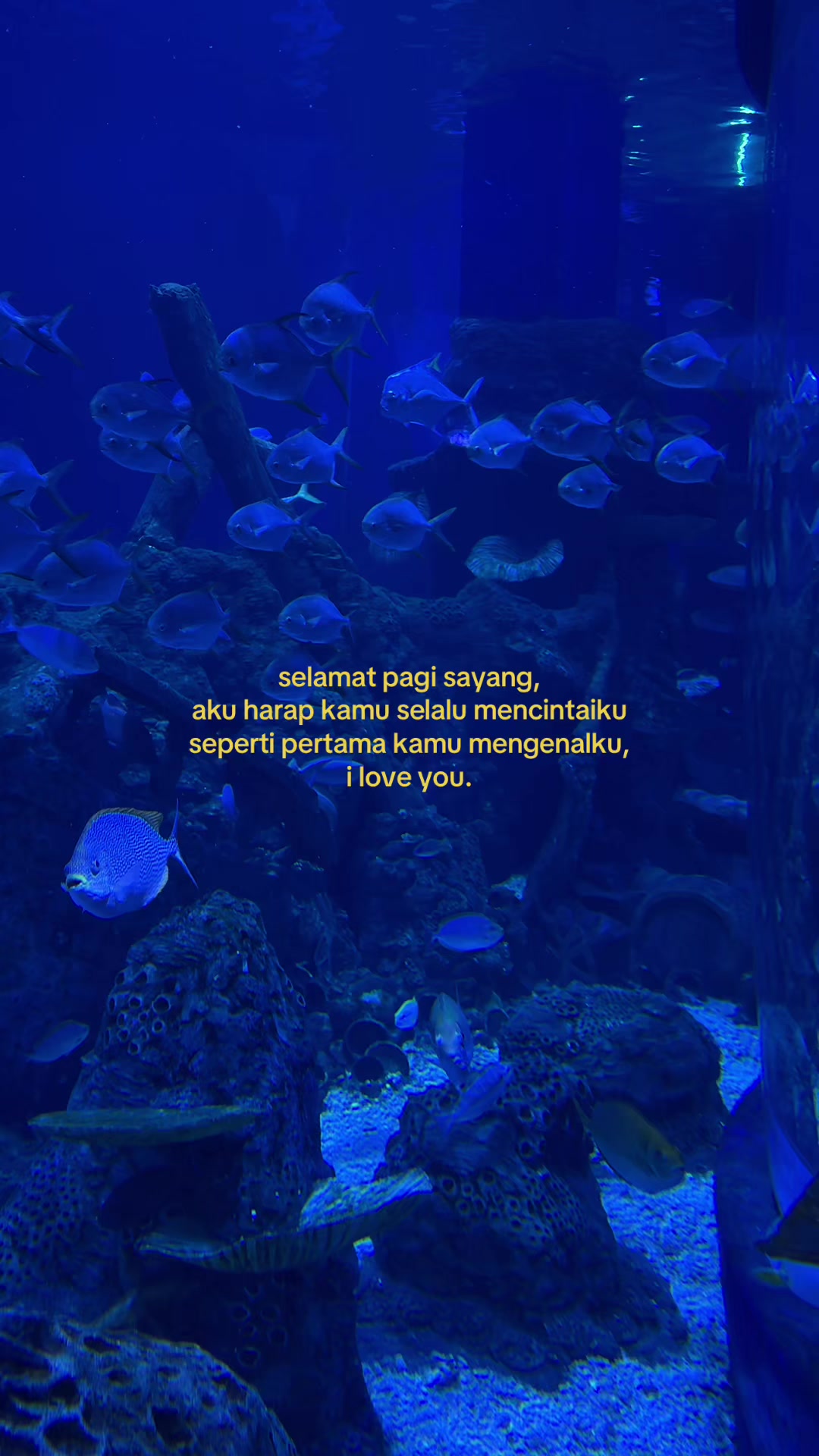 @Gamon