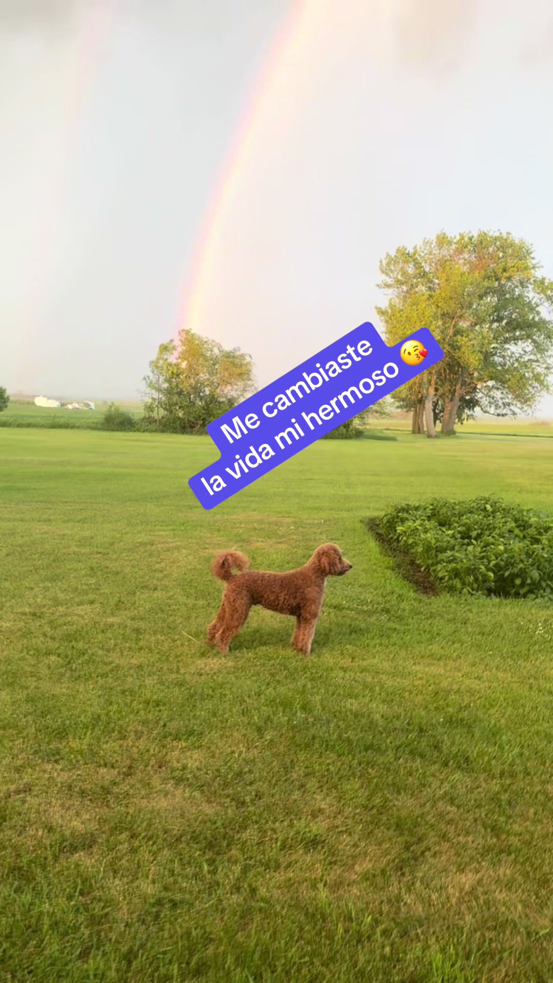 @Reyna y Churro 🐶😍