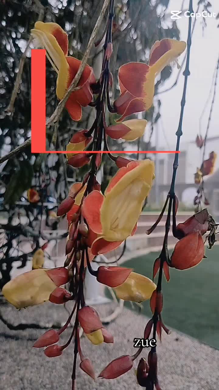 @zue1987