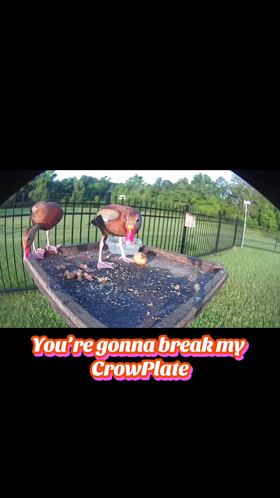 @Buffy_In_Louisiana
