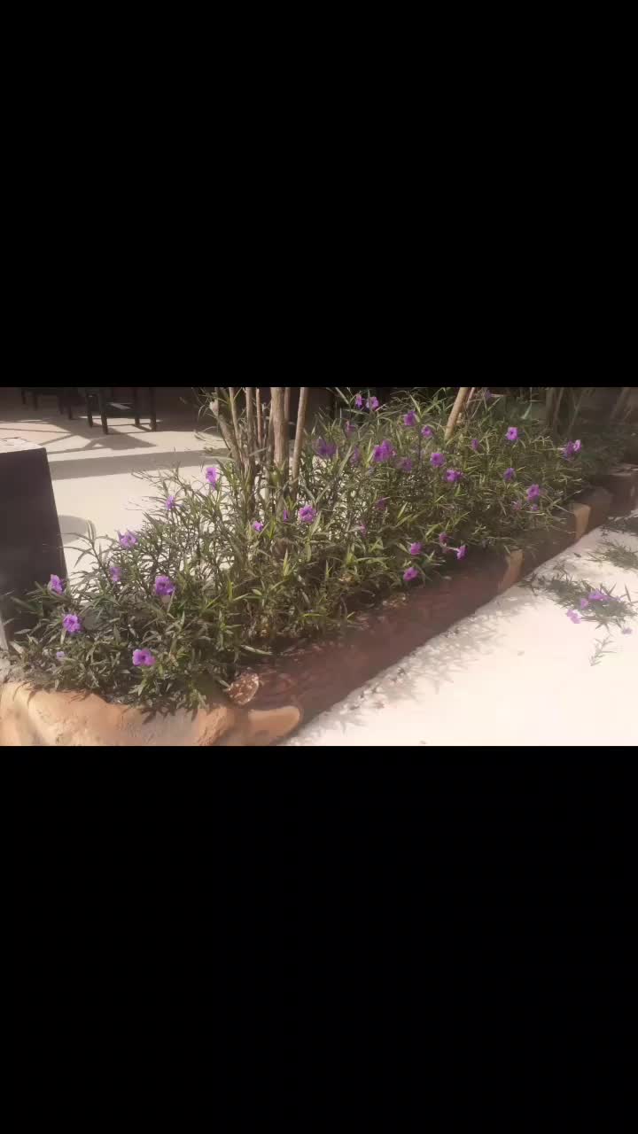 @gardenbron86