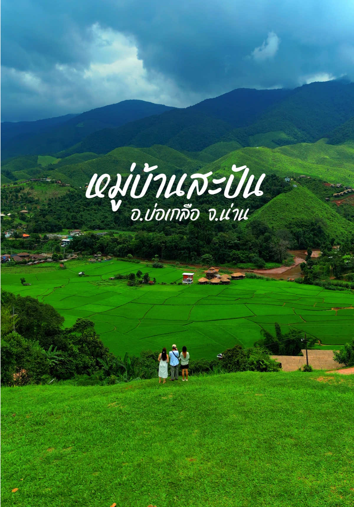 @แวะหาหน่อไม้