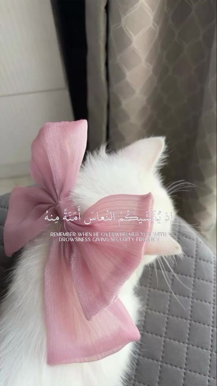 @🦋حواء&nbsp;🦋📿