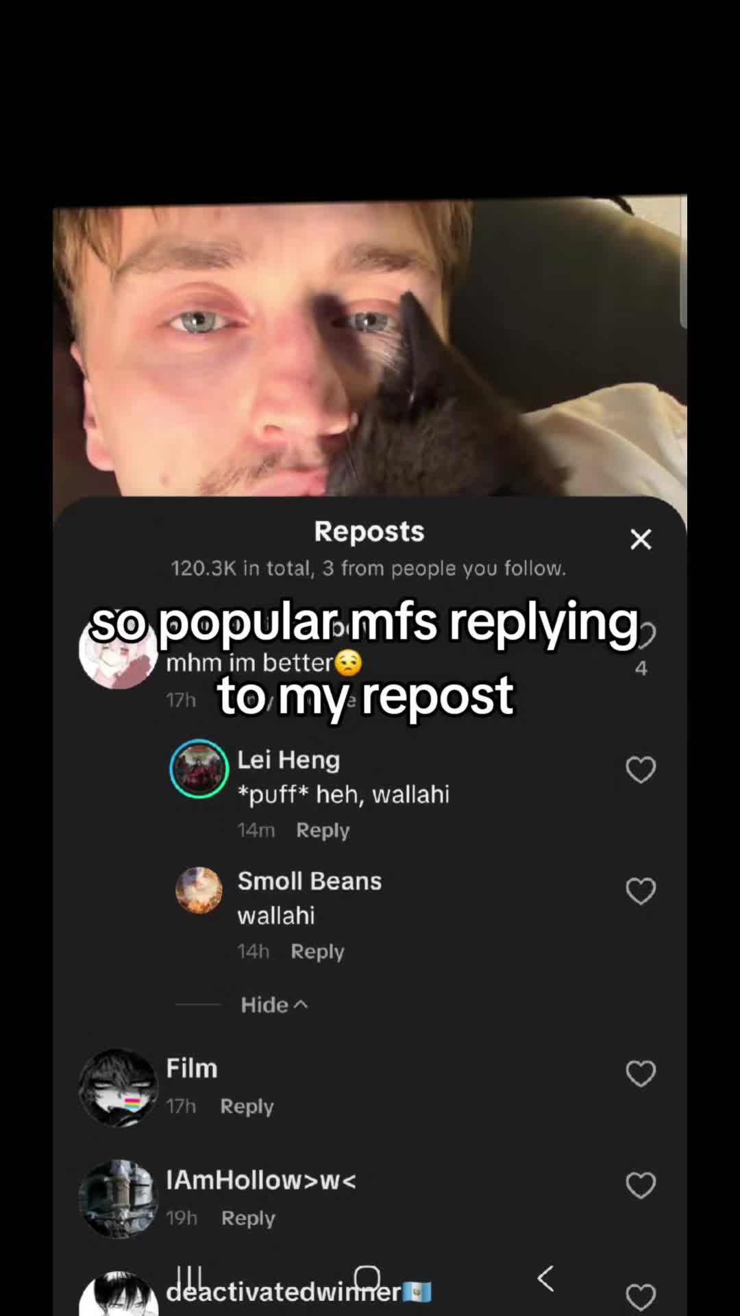 @munchkincatboy