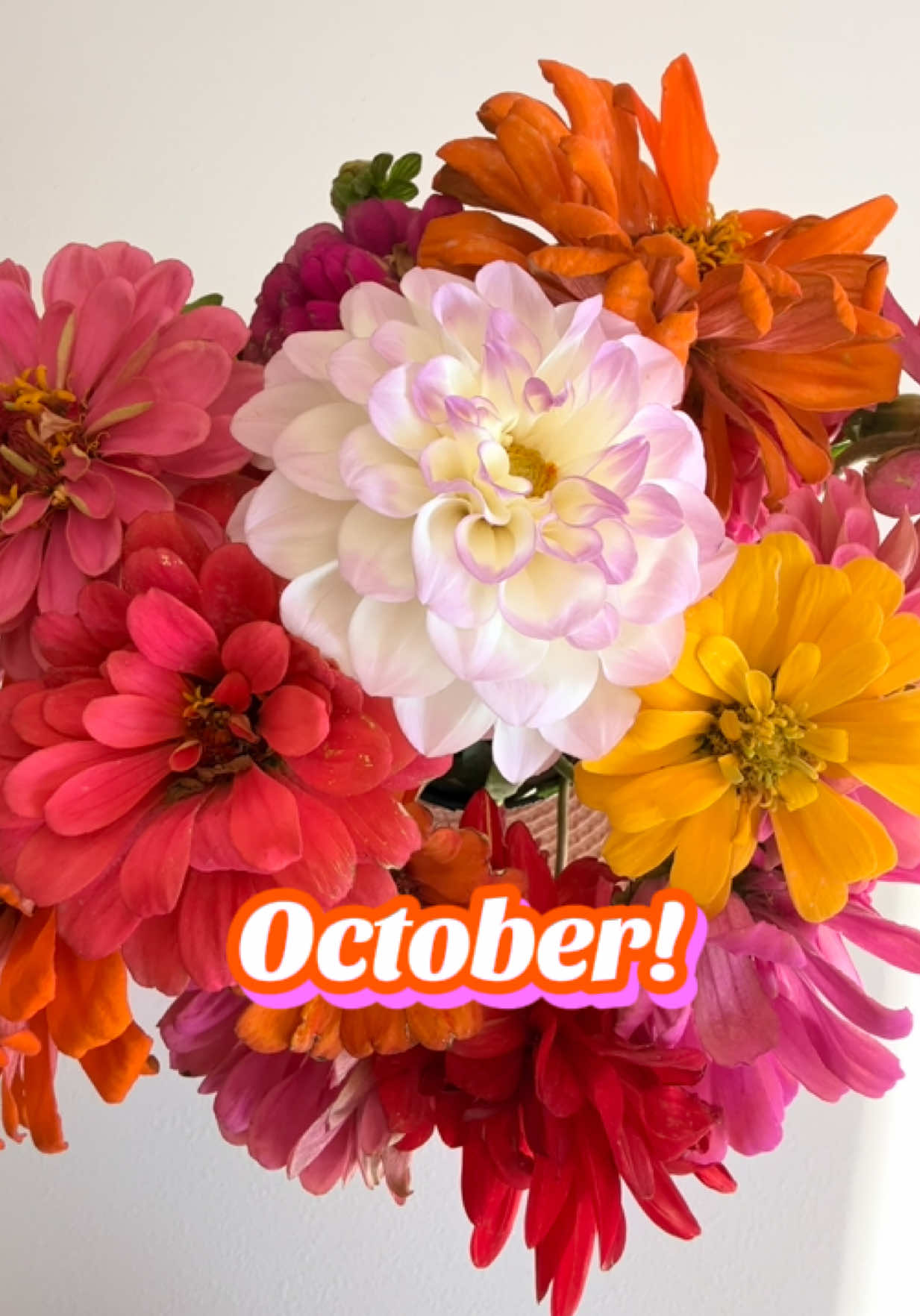 @Hey Cute Design