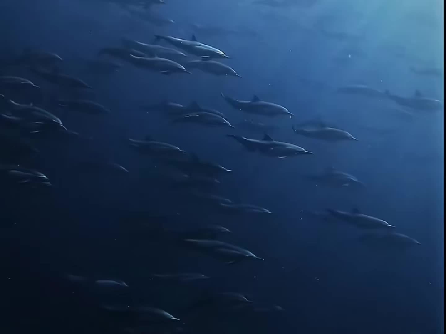 @🌊