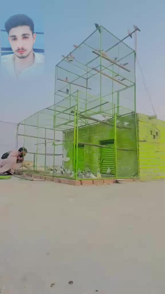 @راجہ عدیل منڈی گروپ گجرخان