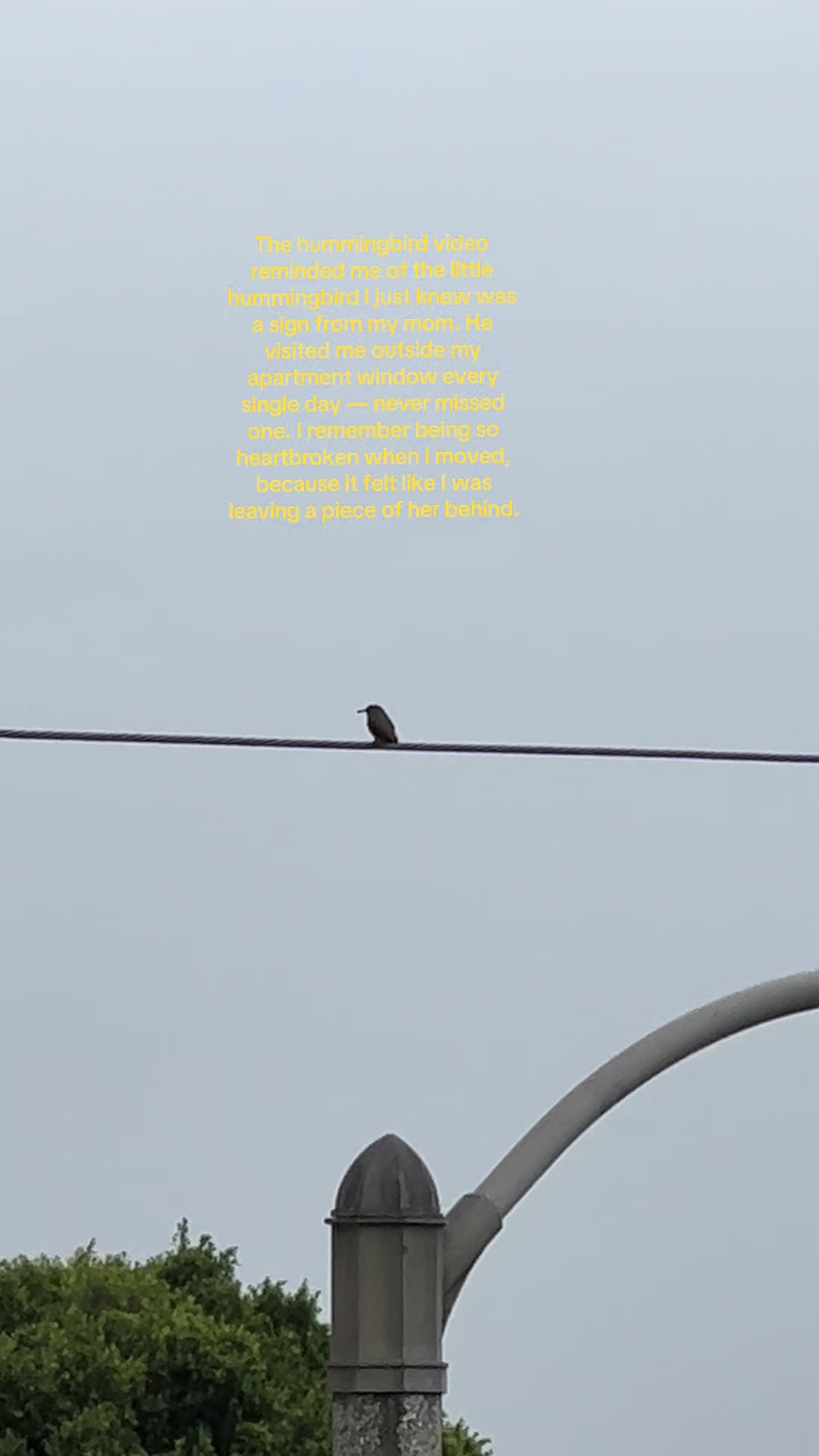 @𐦍༘˖° ababy 🧿𐦍 ⋆