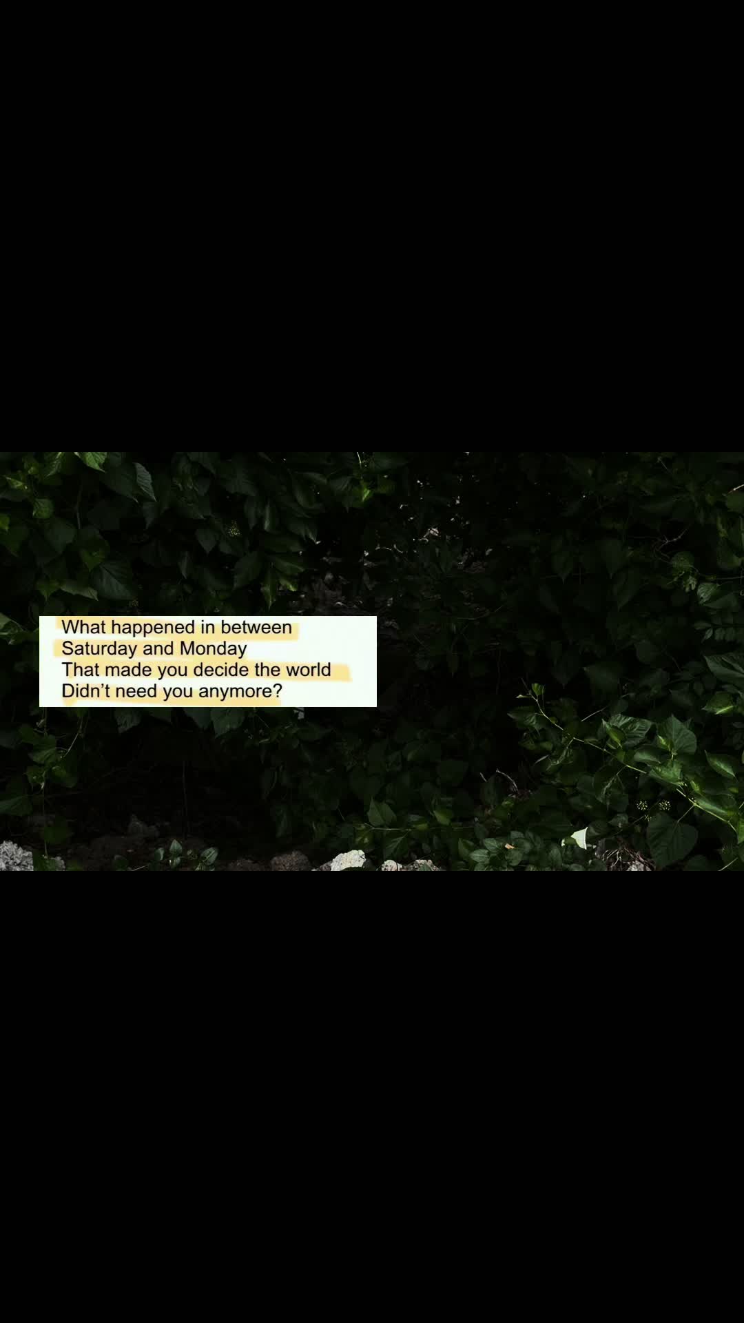 @&zwj;✯
