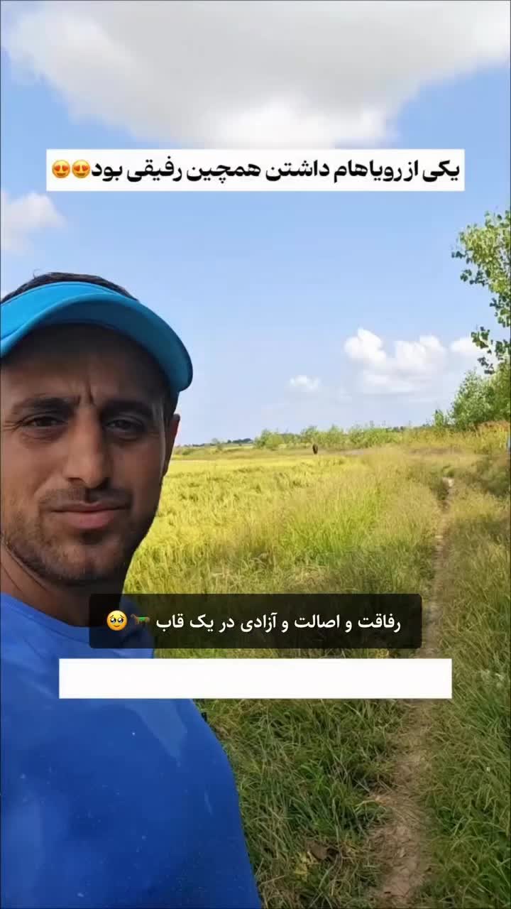 @persian_music
