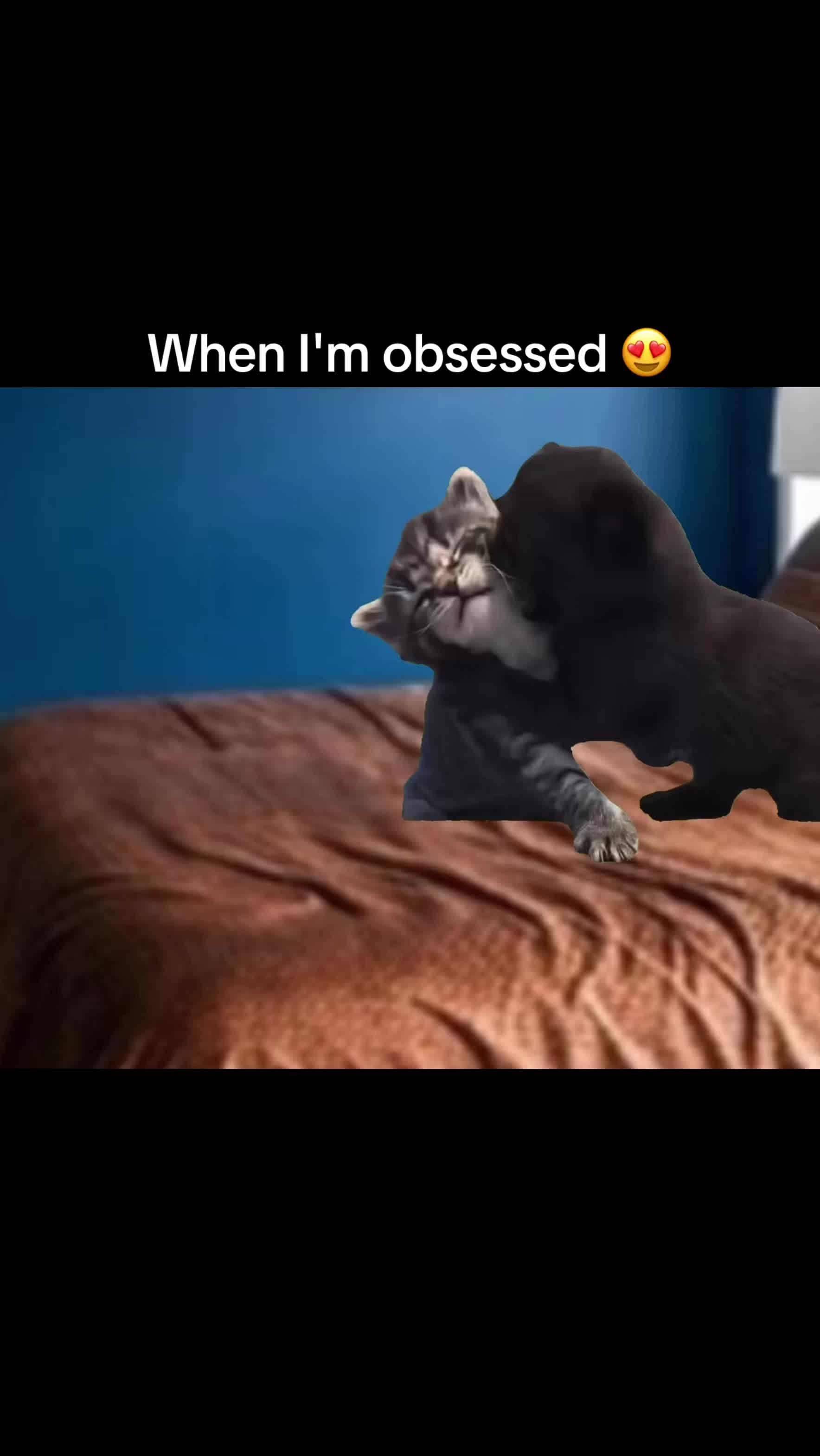 @Melandous