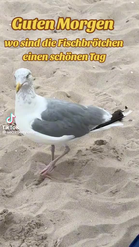 @geistlein12