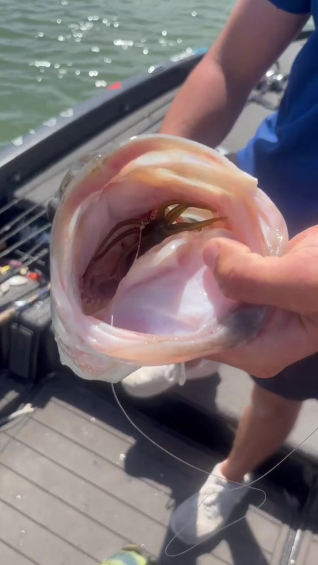 @braydenstokerfishing