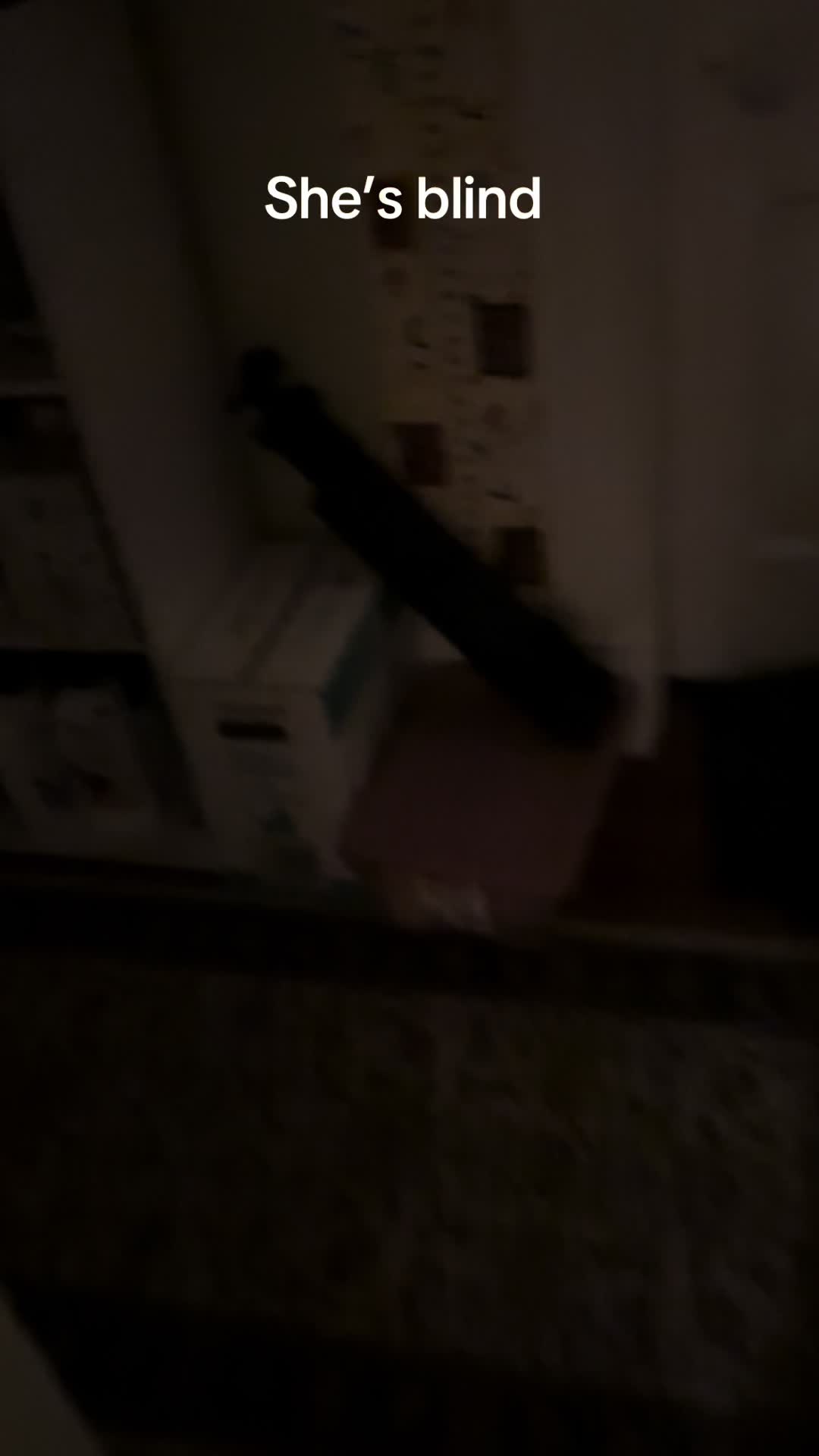 @patton_pup
