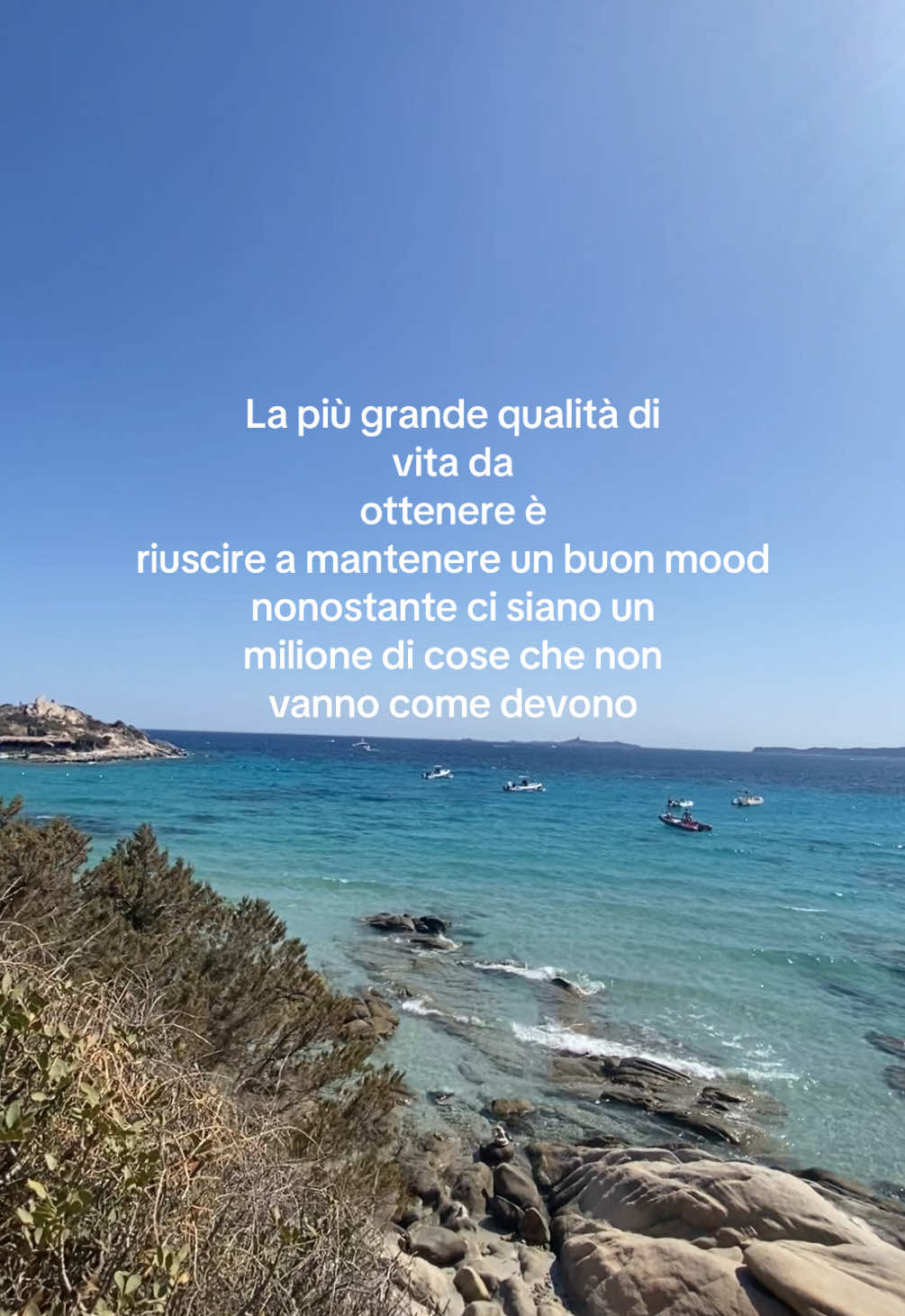 @Veronica Galliani