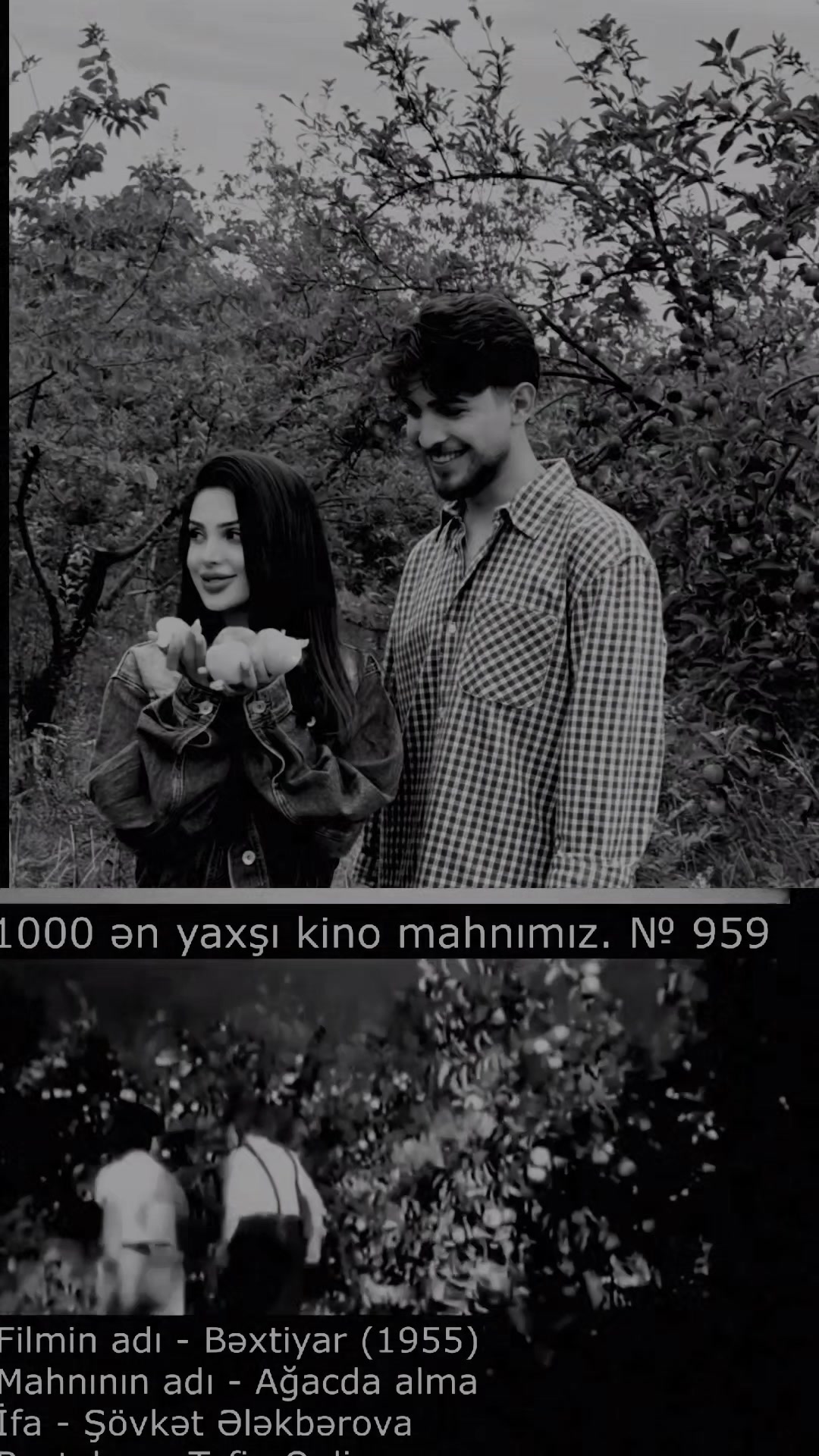 @๐ฆ๐ฅ๐๐๐ง๐๐๐๐๐