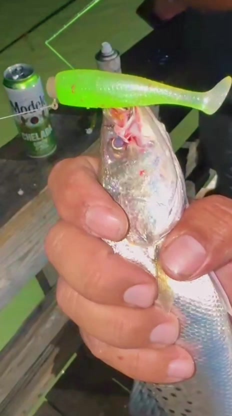 @FishingwithJairo