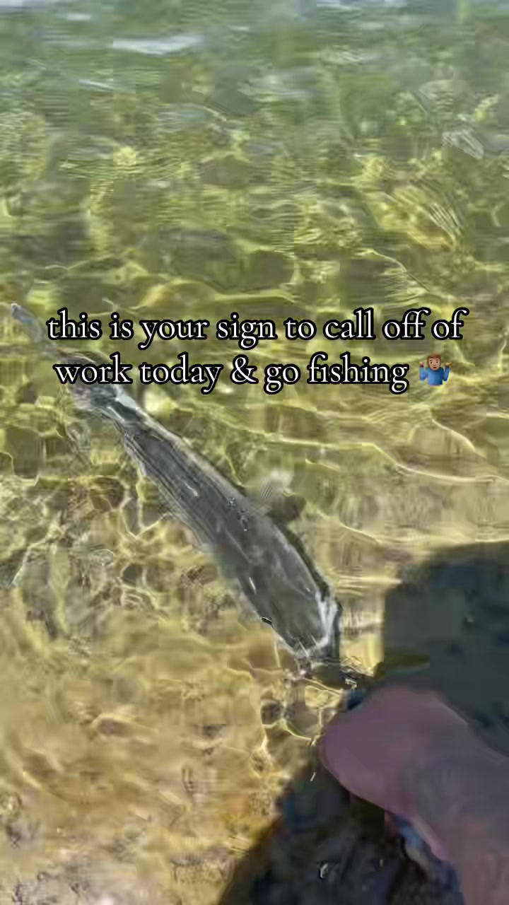 @kernfishing661_
