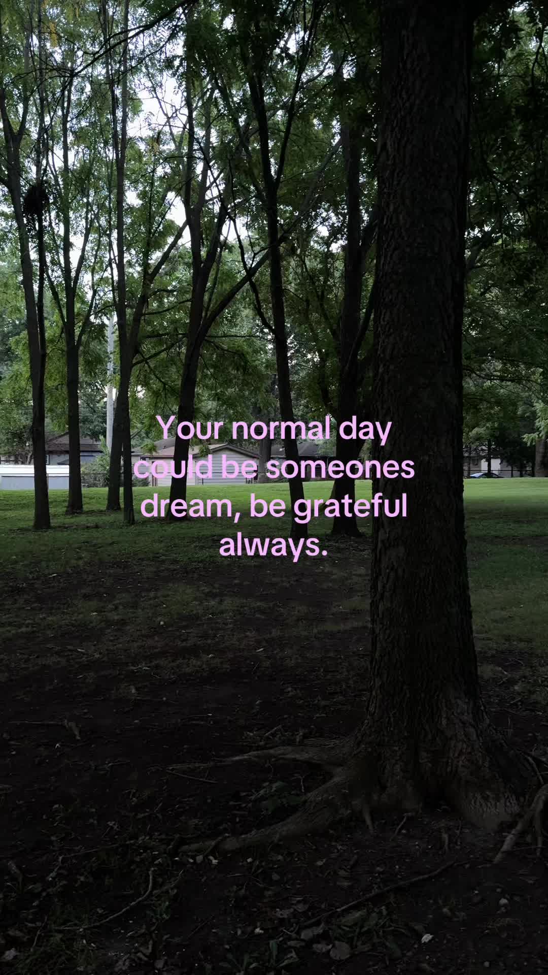 @ℒ ᥫ᭡