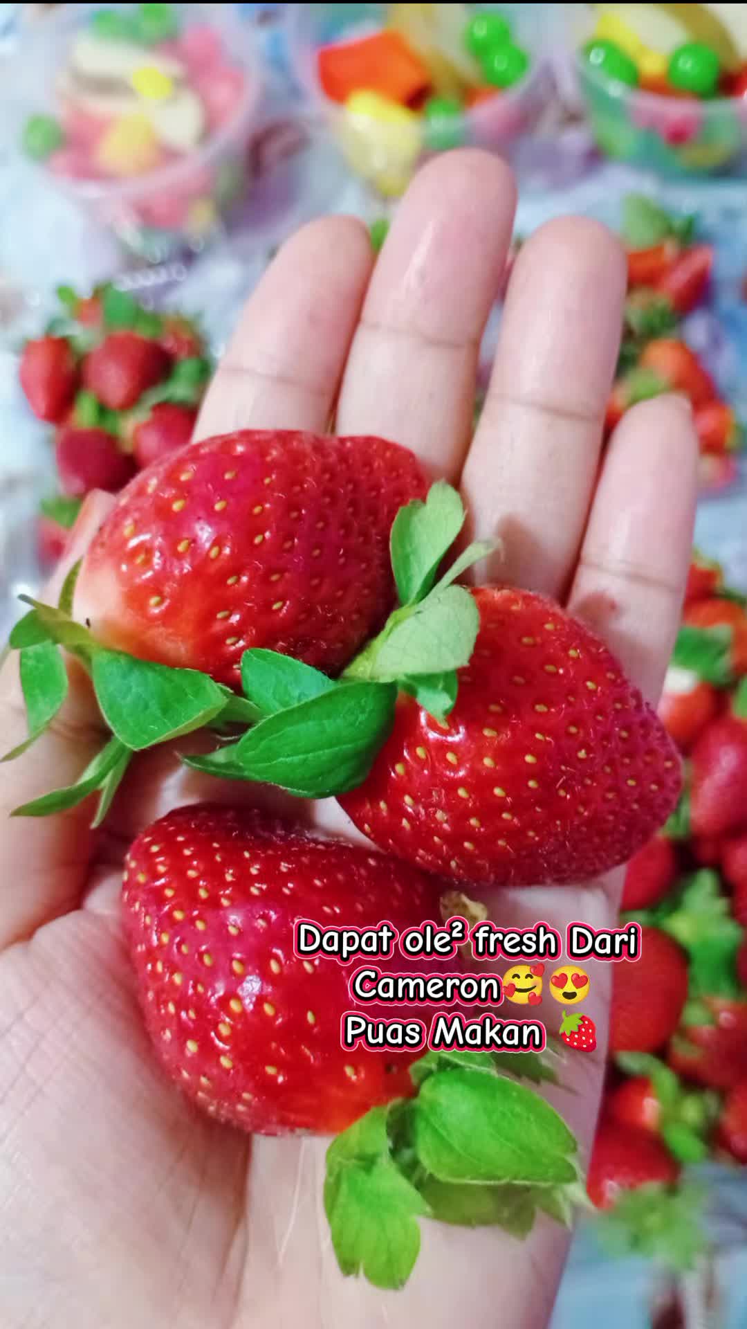 @✿نور محايزا✿(。◕‿◕。)