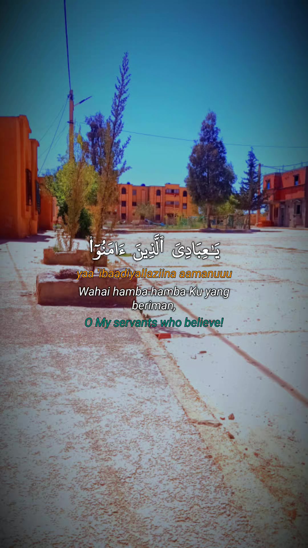 @زكريا سرخاد